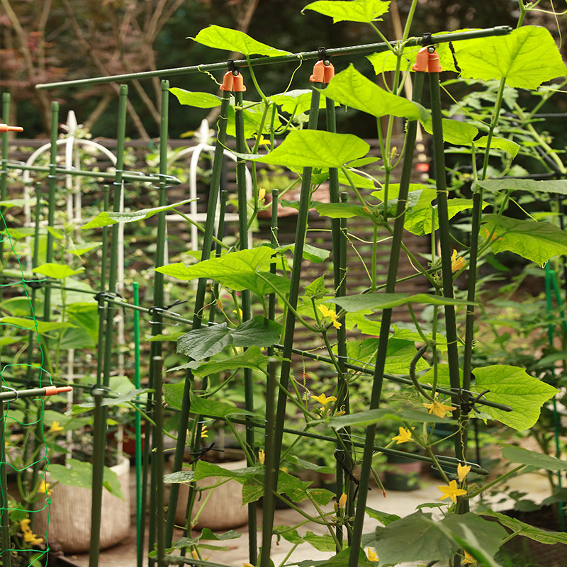 种菜搭架包塑管支架菜园种植架子园艺爬藤架蔬菜架杆丝瓜支撑架_虎窝淘