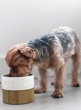 陶瓷猫碗宠物碗护颈椎狗粮碗猫食盆猫粮水碗中型小型通用支架双碗