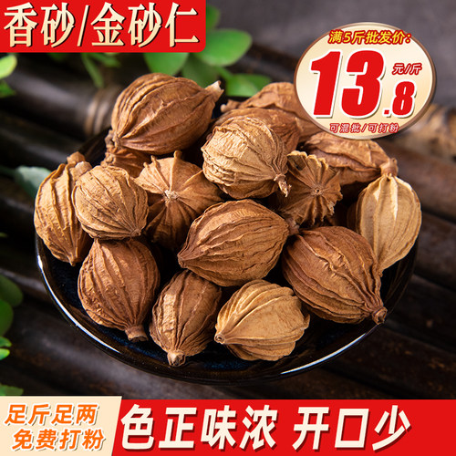 香砂仁川香砂大料金沙仁调料香料