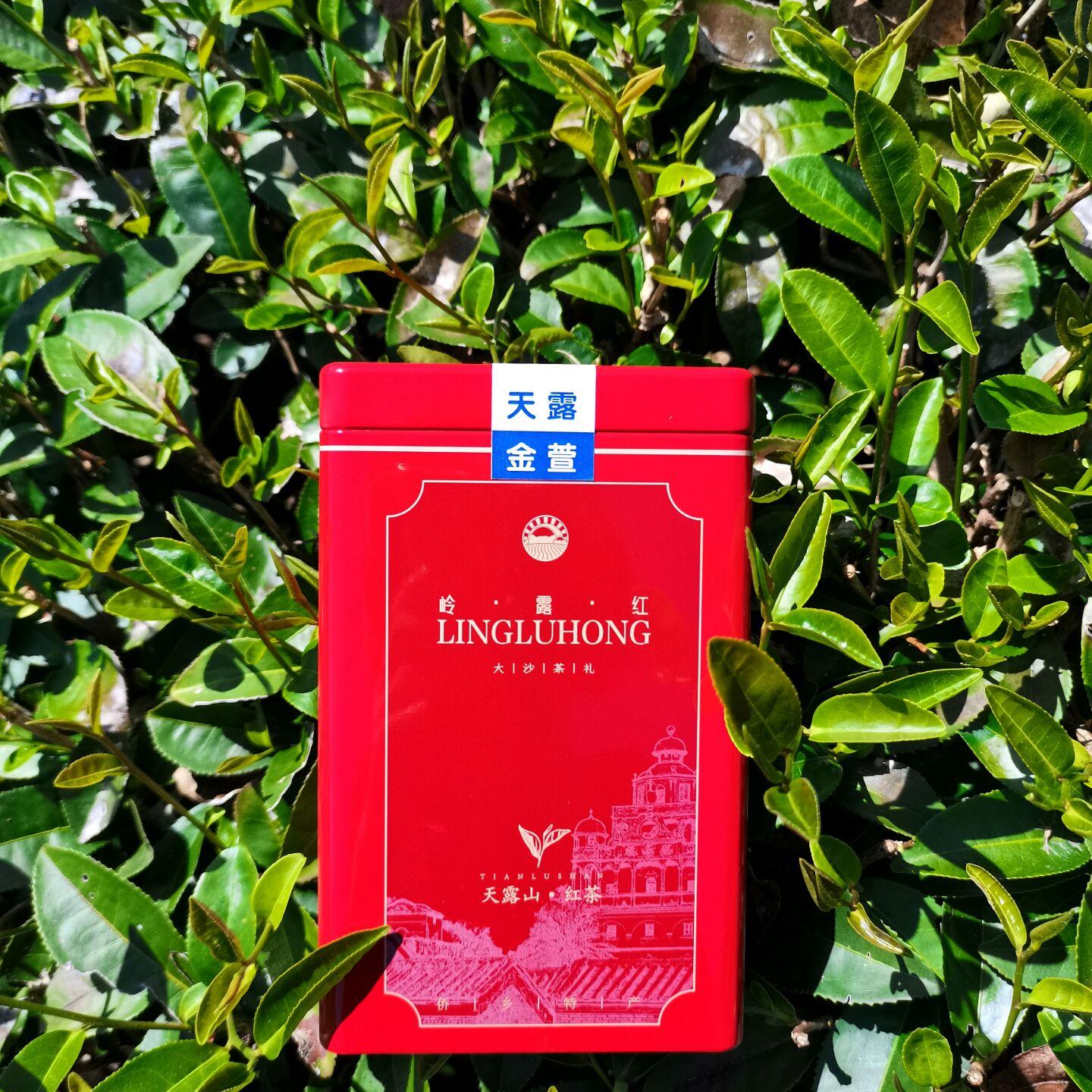 大沙红茶顺滑天露山茶岗坪红茶