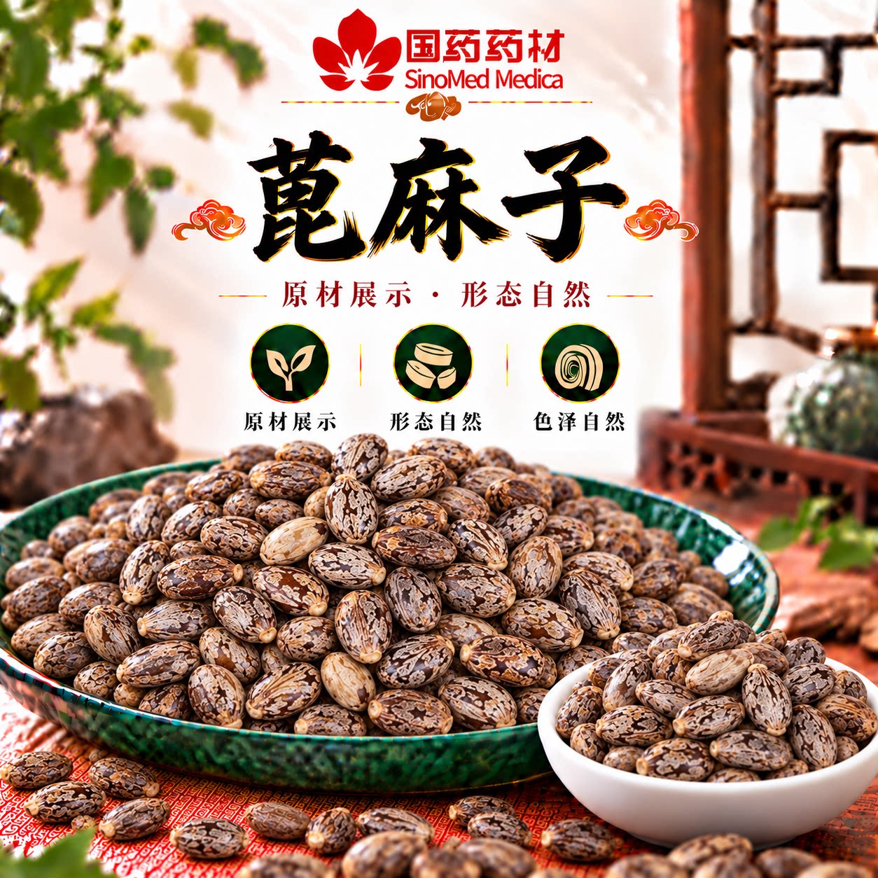 国药药材 蓖麻子中药材500克蓖麻籽冰麻子毕麻子芘麻子红大麻子