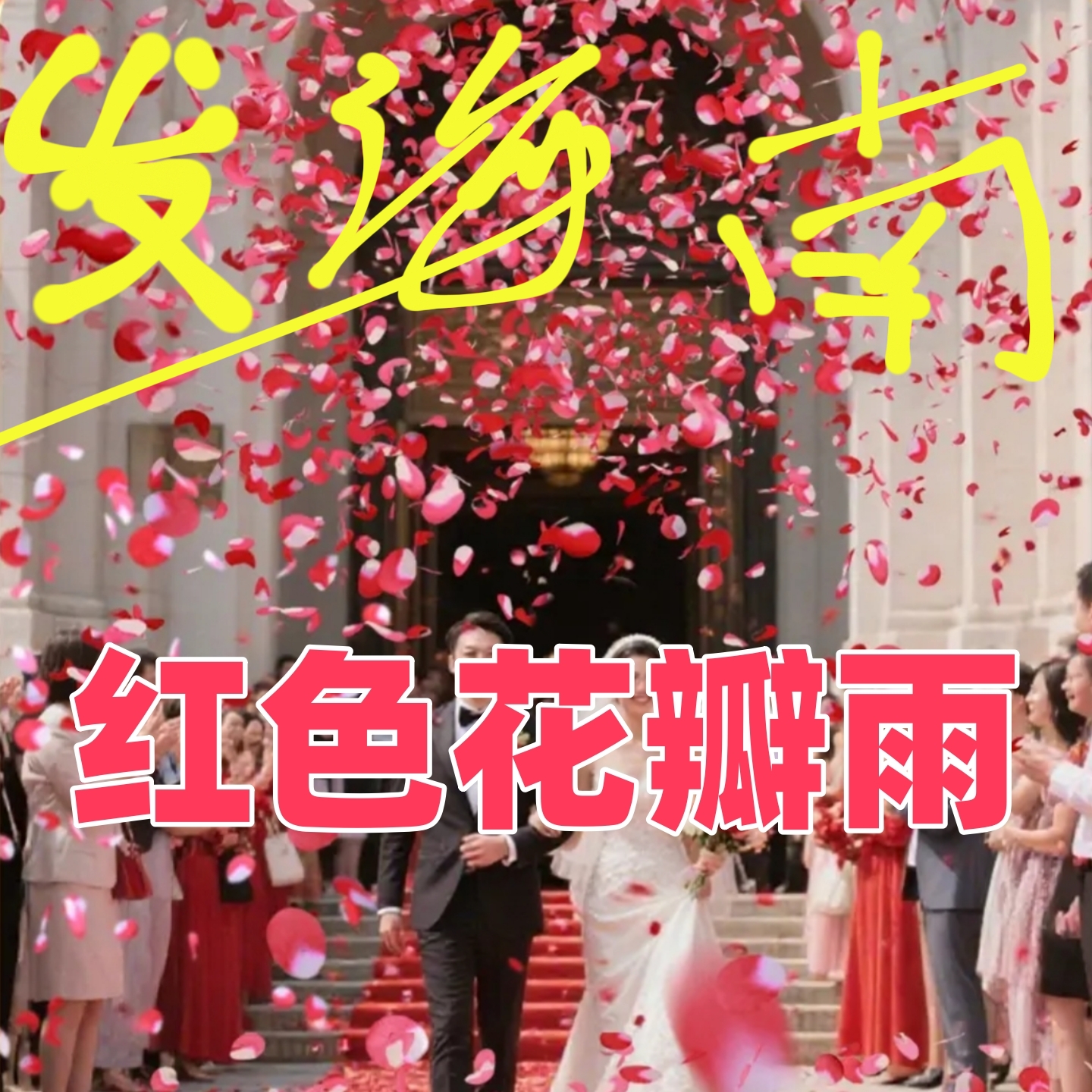 不掉色的花瓣雨礼花筒泡水也不会