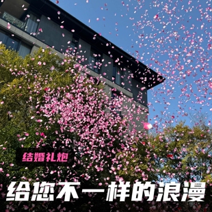 花瓣雨结婚礼花星河璀璨礼礼花筒求婚表白婚礼装饰用品直播间礼花