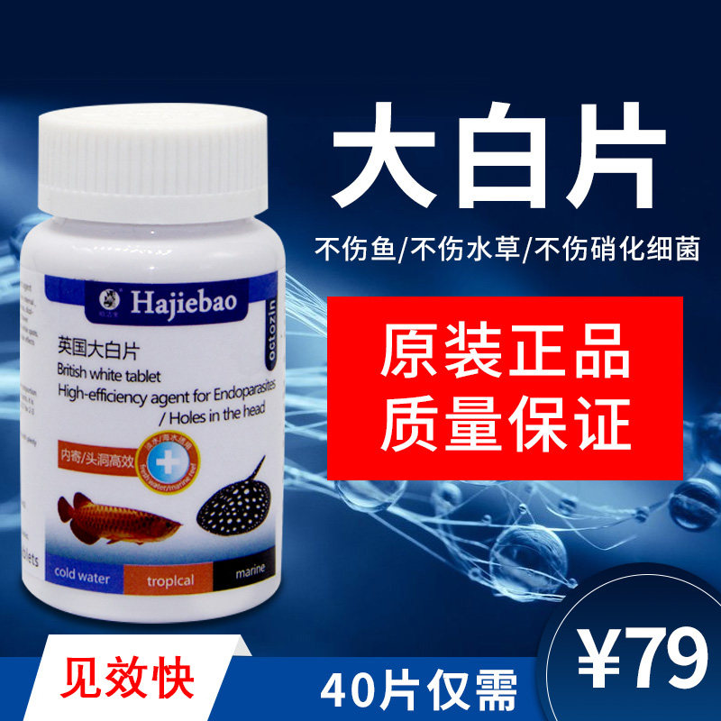 鱼用大白片水族热带鱼凸眼头洞肠炎内寄白点驱虫大白片英国大白片