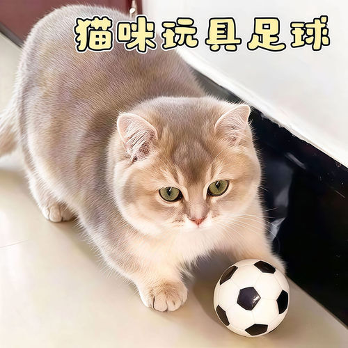 乳胶耐咬弹力球猫狗互动自嗨