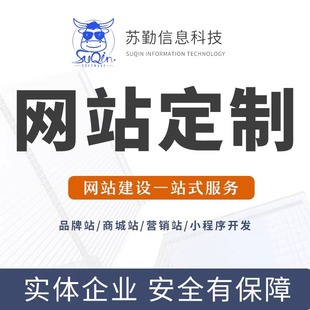 网站建设一条龙全包网页制作与设计公司企业网站搭建注册定制开发