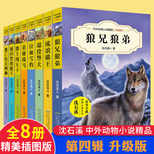 第四辑狼兄狼弟 全8册中外动物小说精品升级版 初中三四五六年级小学生课外必读书籍10 15岁少儿童阅读物 沈石溪动物小说正版