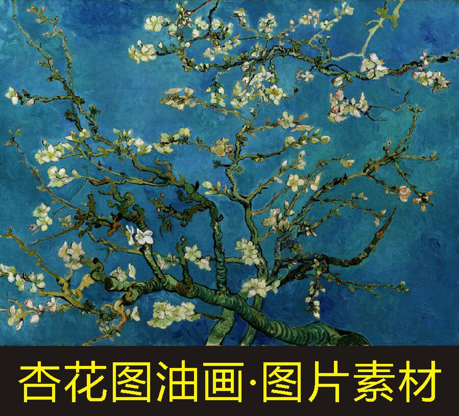 高清杏树开花图油画名人画像梵高装饰画jpg格式tif电子版图片素材