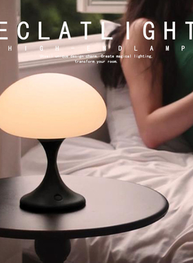 水母台灯浪姐同款充电简约北欧风客厅装饰轻奢卧室氛围感床头灯