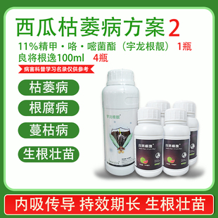 精甲咯嘧菌酯良将根逸西瓜枯萎病方案