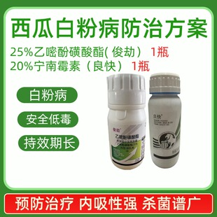 西瓜白粉病方案俊劫良快组合乙嘧酚磺酸酯宁南霉素杀菌剂