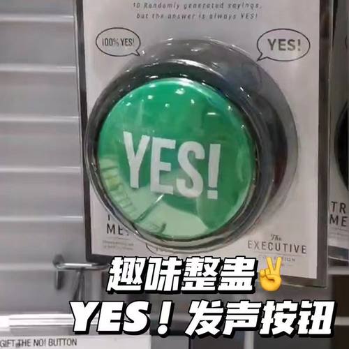 发声按钮YES NO电子整蛊搞笑办公室按压声音新奇玩具六一生日礼物
