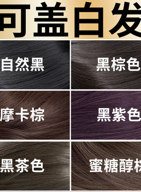 遮盖白发染发剂潮发型宝哥黑棕色自己在家植物染发膏黑紫色冷棕色
