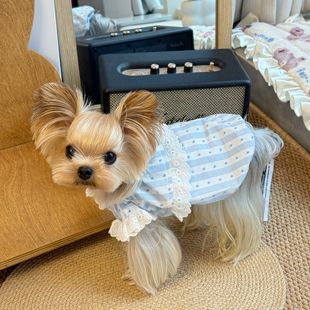 小甜粥宠物服狗狗猫咪条纹吊带蕾丝花边南瓜裙小型犬约克夏衣服