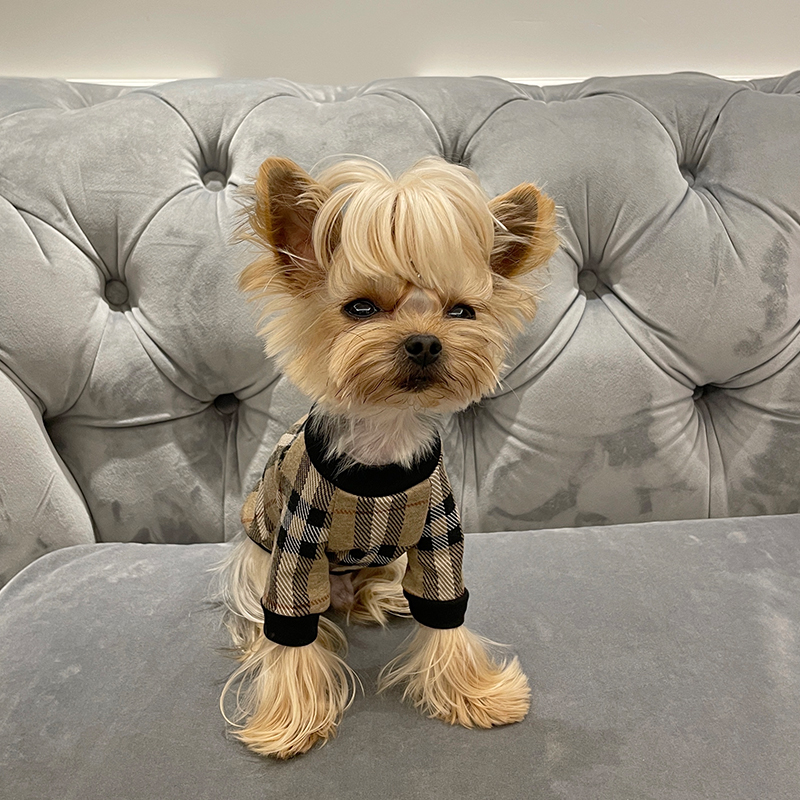 小甜粥猫狗潮牌格子T恤