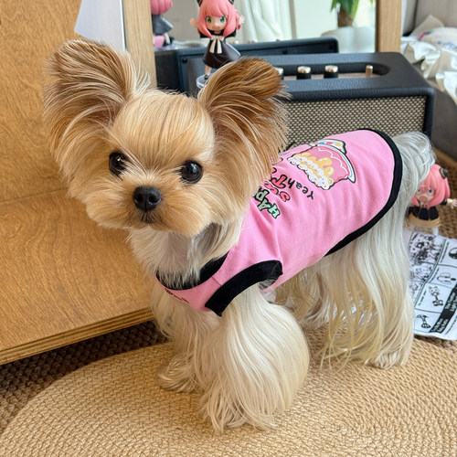 小甜粥宠物服卡通印花透气撞色背心小型犬约克夏马尔济斯吊带衣服 - 封面