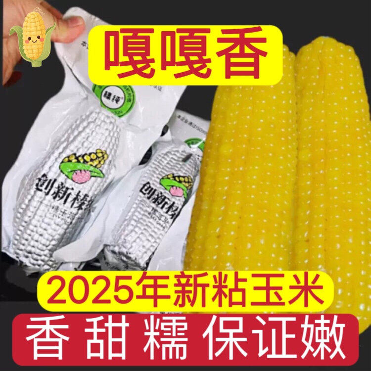 创新榛淳新玉米东北甜糯玉米新鲜粘苞米速冻熟玉米黑龙江黄糯玉米