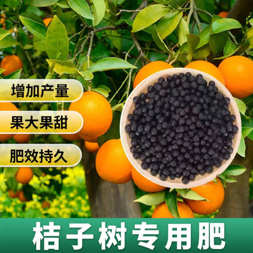 桔子树专用肥橘子树肥料金桔树柑橘颗粒缓释肥沃柑果树盆栽营养肥