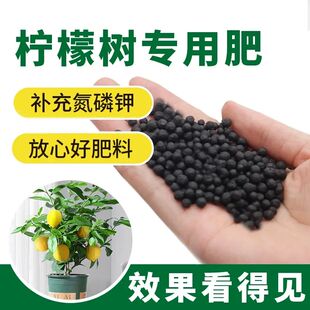 柠檬专用肥柠檬树黄叶病不开花掉叶落叶催芽促果生根壮根叶面肥料