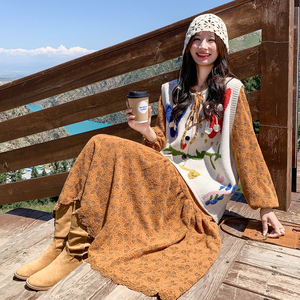 法式民族风绣花马甲套装裙女2025秋季新款超好看蕾丝连衣裙两件套图片