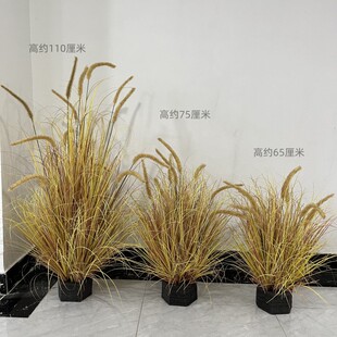 仿真狗尾巴草堆盆栽植物造景枯色秋色落地摆放狼尾草绿植假花枯草