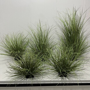 仿真草垛芦苇草草堆景观制作假草绿草软装道具草丛团草苔藓装饰草