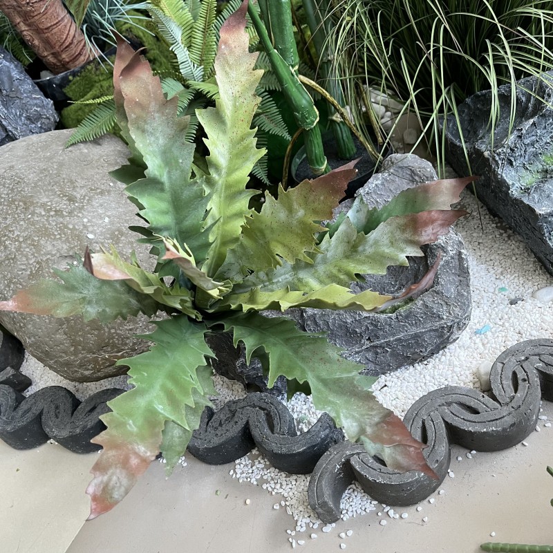 仿真蕨草荒漠植物布景装饰