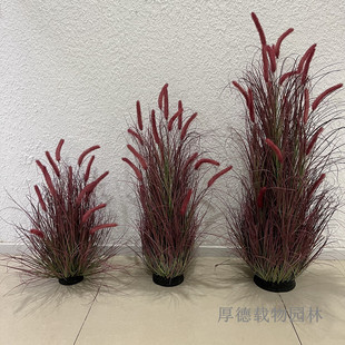 仿真狗尾巴草堆盆栽植物造景紫色落地摆放狼尾草绿植假花枯草摆件