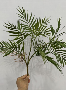 带根须仿真棕榈树盆栽盆景插花凤尾葵叶 树叶散尾葵树软胶椰子叶
