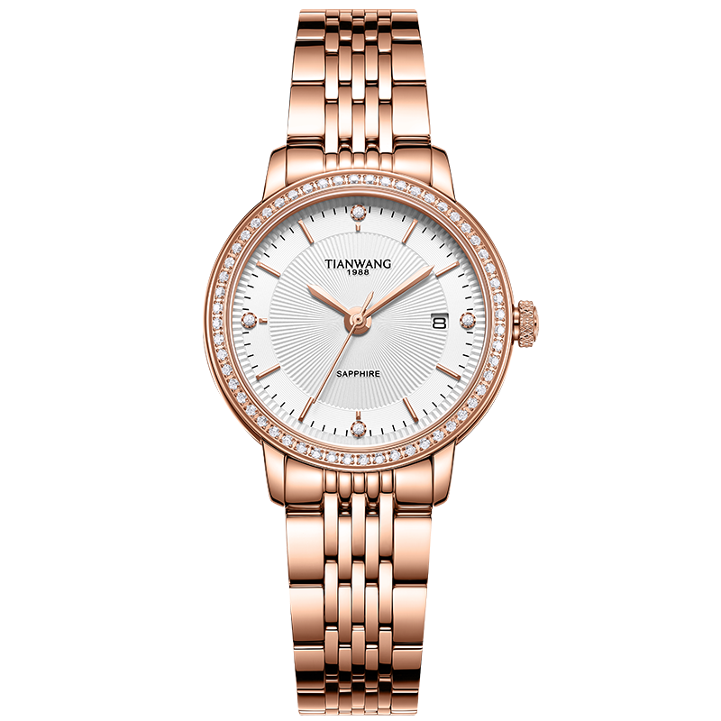 送老婆女友姐姐天王时尚精致石英轻奢手表女生日礼物31161