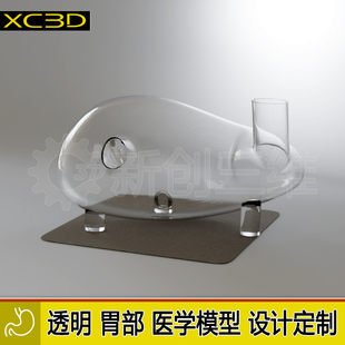 3D打印透明胃模型胃镜训练实验手术定制心脏医疗医学教学教具肝脏