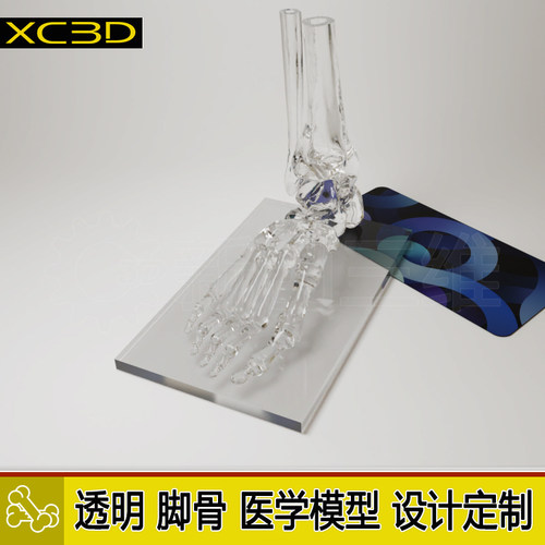 3D打印透明脚骨手模脚模手掌手臂手骨定制设计医学医疗教学教具