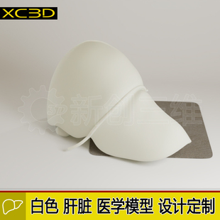 肝脏定制医疗模型3D打印透明树脂水晶心脏手术模型胃医学教学教具