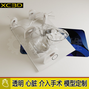 可拆卸透明心肺血管心脏介入手术模型冠状动脉射频消融术封堵术