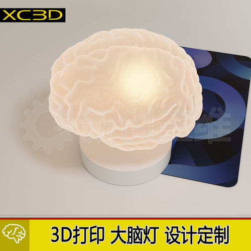 3D打印透明导光大脑灯艺术心脏灯