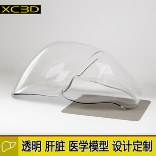 透明3D打印肝脏定制医疗模型心脏手术训练介入模拟胃医学教学教具