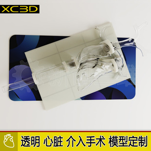 透明可拆卸血管模型心脏肺动脉模型血栓抽吸导管下肢静脉器械介入