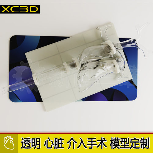 新创三维透明可拆肺动脉静脉模型