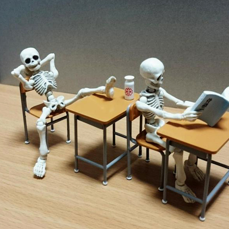 食玩骷髅人 可动骨头先生潮玩盲盒公仔人偶 手办模型摆件微缩小人