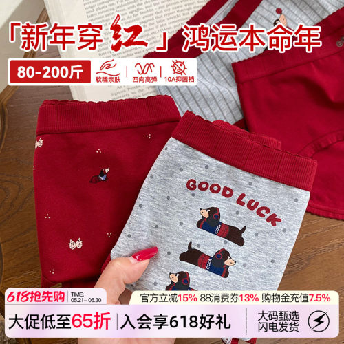 2026红色内裤女本命年鸿运小狗