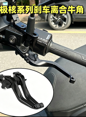 适用极核ae5ipro ae7电摩AE4SE/AE8改装短款可调刹车牛角拉杆手把