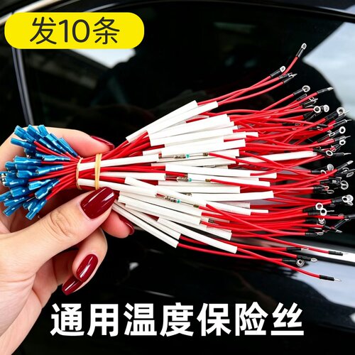 金属温度保险管通用电饭煲压力锅电热锅热敏电阻熔断器10A250V185