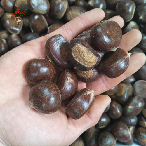 新鲜坚果迁西板栗包邮