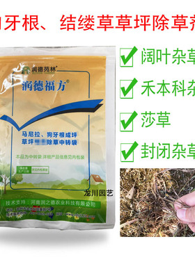 润德福方结缕草马尼拉狗牙根草坪除杂草马唐地锦香附子马齿苋稗草