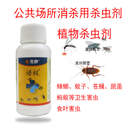 卫生杀虫剂国光杀蟑螂消杀害虫