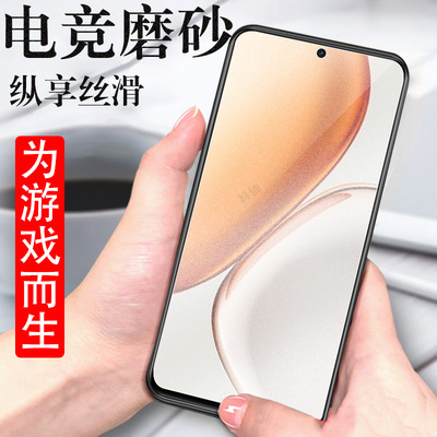 适用荣耀x9d/x9d5g磨砂膜mtn-nx1