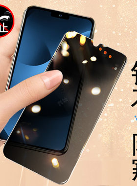 适用金立g80pro/gns2502a防窥膜
