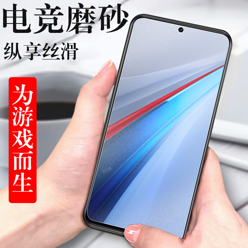 iqoo13/v2408a磨砂钢化膜