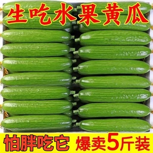 减肥水果小黄瓜适合减脂期吃的水果代餐0脂肪o卡低热量解馋零食品