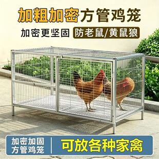 加密方管鸡笼养殖笼具防老鼠黄鼠狼加粗可放各种家禽加厚铁丝笼子